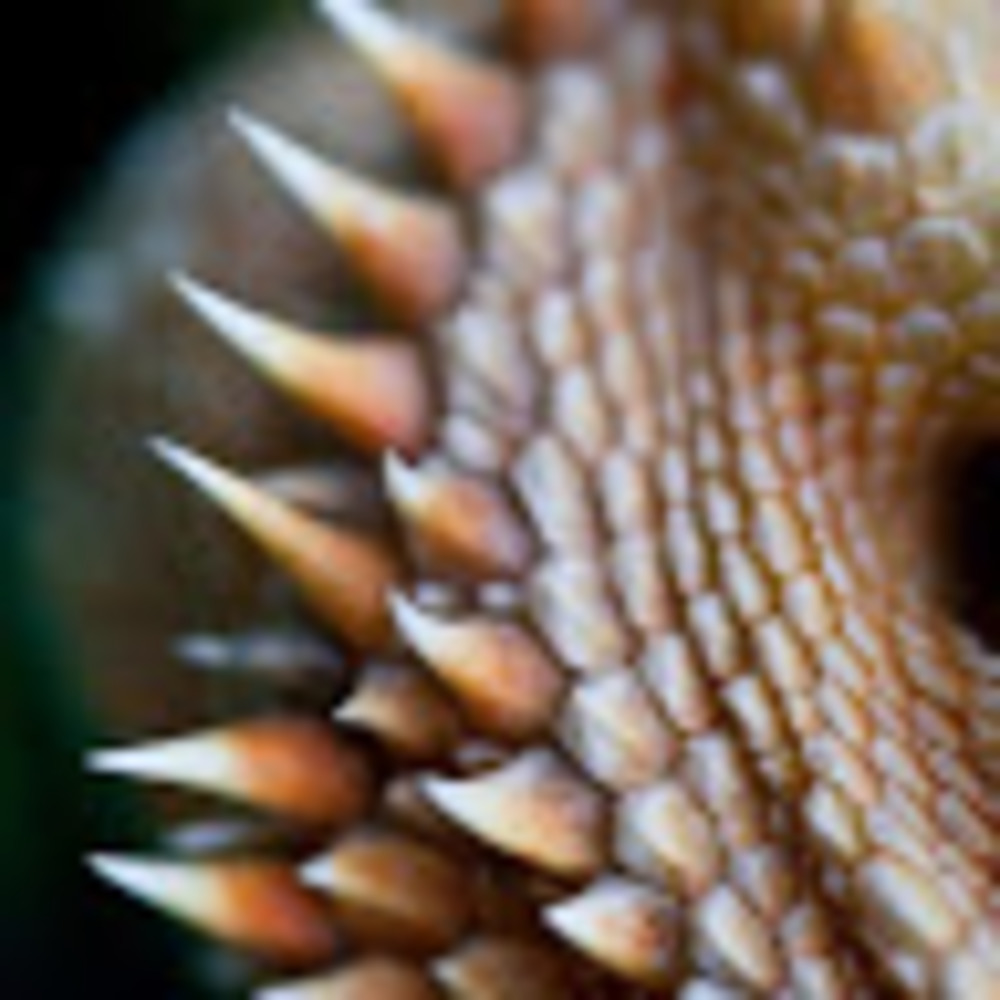 Meet your Posher, Meredith